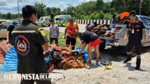 Tragedia en Tailandia: un niño de 11 años atropelló a un grupo de monjes durante una peregrinación y ya son 10 los fallecidos