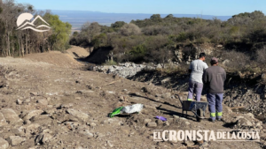 Sembraron centeno en las márgenes del arroyo Damiana Vega para reforzar sus defensas