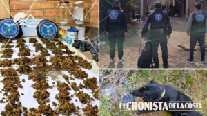 Carpintería: incautaron marihuana valuada en más de $8 millones en un nuevo operativo antidrogas