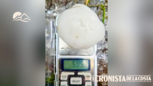 ¿Récord en Córdoba? Pesaron un granizo de casi 600 gramos y el resultado sorprendió